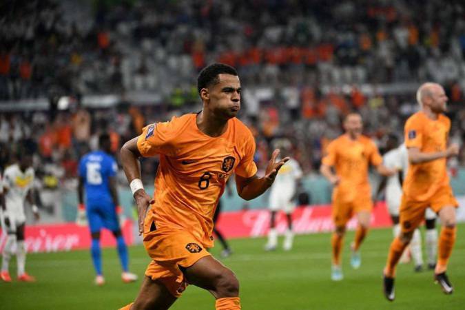 Holanda venceu por 2 a 0