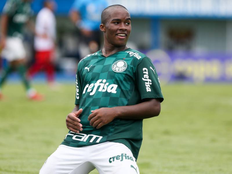 gol #palmeiras #endrick #brasileirao #campeao #premiere