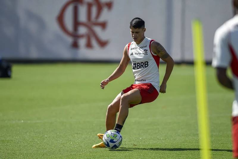 Reforços do Flamengo, Allan e Luiz Araújo são regularizados e