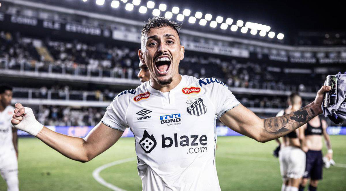 Santos esta proximo de acesso para a Serie A do Brasileirao Raul Baretta / Santos FC