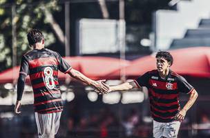 Sem legenda (Foto: Foto: Reproducao/Flamengo)