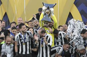 Botafogo foi campeao brasileiro pela terceira vez: 1968, 1995 e 2024 (Foto: Reginaldo Pimenta / Agencia O Dia)